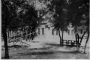 Locke Hill School Auditorium 1939