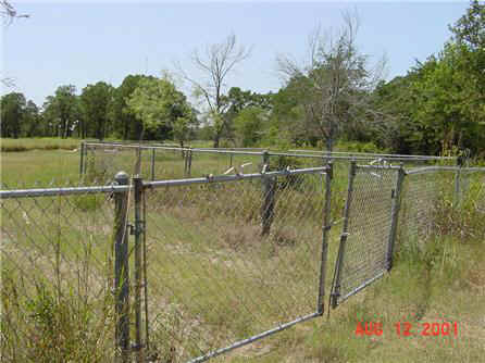 Wilcox Cemetery, Burleson County, Texas
