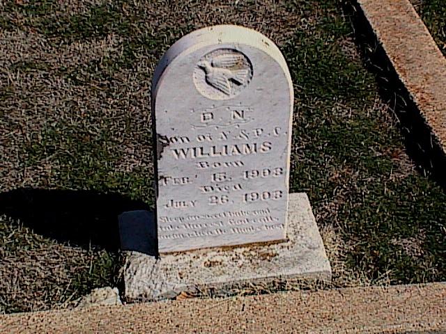 Tombstone of D. N. Williams
