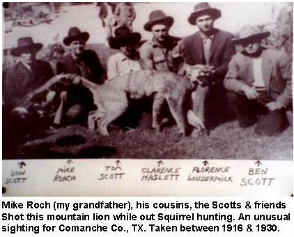 Mike Roch, Cousins, and Friends Shoot a Mountain Lion