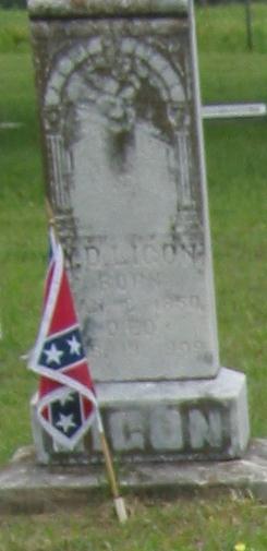 Tombstone of D. Ligon