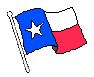 Texas
                  Flag