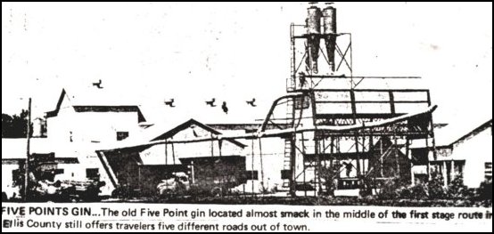 Five Points Gin