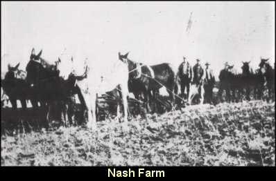 Nash Farm