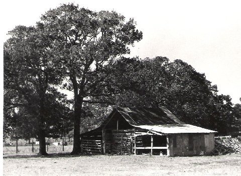 Bulin Barn