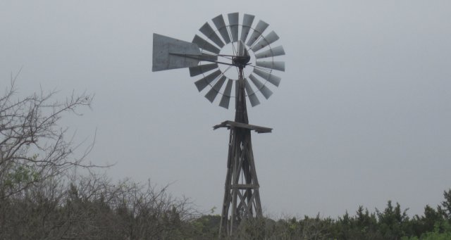 Real County TX genealogy