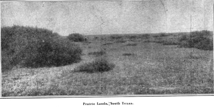Prairie