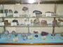 Taft Blackland Museum