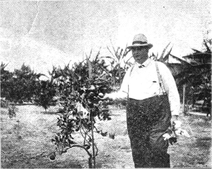 Fruit