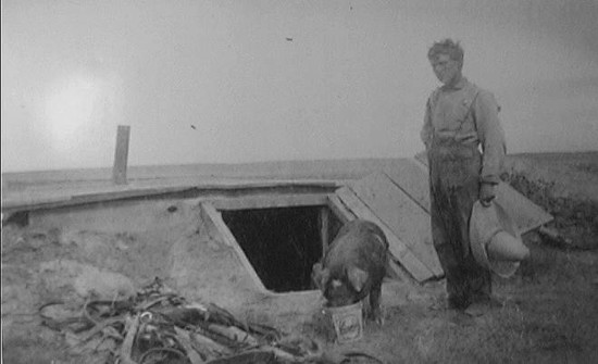 homesteader.jpg (35630 bytes)
