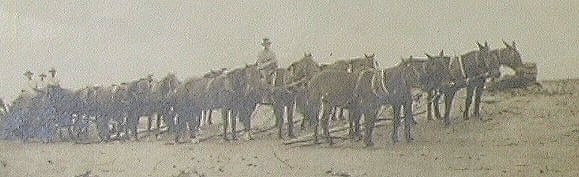 lunateam1914.jpg (35646 bytes)